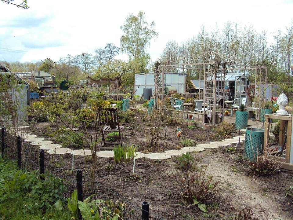 10405245_1433770393574237_9168545198268688643_n